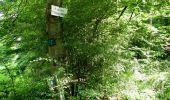 Randonnée Marche Longpont - en forêt de Retz_68_ballade (2) en toute saison - Photo 20