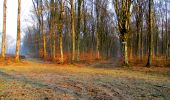 Randonnée Marche Longpont - en forêt de Retz_68_ballade (2) en toute saison - Photo 3