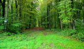 Randonnée Marche Longpont - en forêt de Retz_68_ballade (2) en toute saison - Photo 7