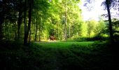 Randonnée Marche Longpont - en forêt de Retz_68_ballade (2) en toute saison - Photo 6