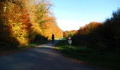 Tour Wandern Longpont - en forêt de Retz_68_ballade (2) en toute saison - Photo 16