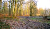 Trail Walking Longpont - en forêt de Retz_68_ballade (2) en toute saison - Photo 8