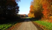 Randonnée Marche Longpont - en forêt de Retz_68_ballade (2) en toute saison - Photo 9