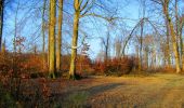Randonnée Marche Longpont - en forêt de Retz_68_ballade (2) en toute saison - Photo 4