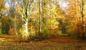 Tocht Stappen Longpont - en forêt de Retz_68_ballade (2) en toute saison - Photo 1