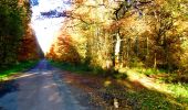 Randonnée Marche Longpont - en forêt de Retz_68_ballade (2) en toute saison - Photo 18
