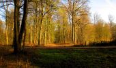 Randonnée Marche Longpont - en forêt de Retz_68_ballade (2) en toute saison - Photo 5