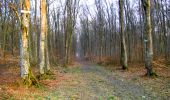 Randonnée Marche Longpont - en forêt de Retz_68_ballade (2) en toute saison - Photo 11