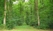 Trail Walking Longpont - en forêt de Retz_68_ballade (2) en toute saison - Photo 10