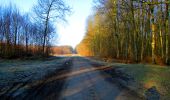 Trail Walking Longpont - en forêt de Retz_68_ballade (2) en toute saison - Photo 12