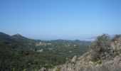 Tocht Lopen Eccica-Suarella - Trail de Sampiero - Photo 5