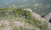 Randonnée Course à pied Eccica-Suarella - Trail de Sampiero - Photo 3