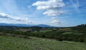 Tocht Stappen Chevrières - chevrieres - rando du 26 aout 2018 - 11km - Photo 2