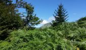 Trail Walking Aulus-les-Bains - Cascade Ars et Lac du Fenouillet  - Photo 3