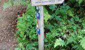 Trail Walking Aulus-les-Bains - Cascade Ars et Lac du Fenouillet  - Photo 2