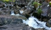 Tocht Stappen Aulus-les-Bains - Cascade Ars et Lac du Fenouillet  - Photo 7