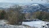 Tocht Stappen Les Martres-de-Veyre - Le puy de Corent - Photo 2