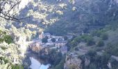 Tour Wandern Gorges du Tarn Causses - rando saint Charly du Tarn par le haut et retour par le bas - Photo 8