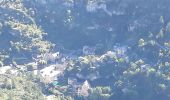 Tocht Stappen Gorges du Tarn Causses - rando saint Charly du Tarn par le haut et retour par le bas - Photo 7