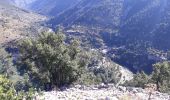 Excursión Senderismo Gorges du Tarn Causses - rando saint Charly du Tarn par le haut et retour par le bas - Photo 6