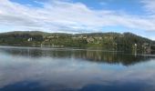 Excursión Bicicleta Titisee-Neustadt - Titisee Schluchtsee et retour - Photo 6