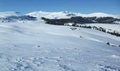 Tour Schneeschuhwandern Albepierre-Bredons - Raquettes à Prat de Bouc - Photo 3