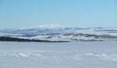 Tour Schneeschuhwandern Albepierre-Bredons - Raquettes à Prat de Bouc - Photo 2