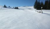 Tour Schneeschuhwandern Albepierre-Bredons - Raquettes à Prat de Bouc - Photo 1