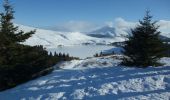Tour Schneeschuhwandern Perpezat - Raquettes au Guéry - Photo 1