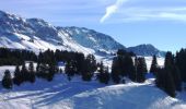 Randonnée Marche Fillière - Ski de fond - Piste noire Plateau des Glières - Photo 2