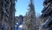 Randonnée Marche Fillière - Ski de fond - Piste noire Plateau des Glières - Photo 1