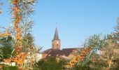 Tocht Stappen Anor - Circuit des chemins de terre. (Anor)  - Photo 1