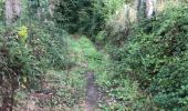 Trail Walking Guipel - 30.08.2018 - GUIPEL - Photo 15