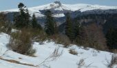 Excursión Senderismo La Bourboule - Charlannes - la Stèle - Photo 1