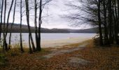 Excursión Senderismo Les Mazures - Lac des Vieilles Forges - Photo 3