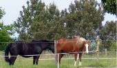 Tocht Paard Villandry - Boucle à Vallères - Photo 1