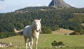 Percorso Cavallo Sainte-Eulalie - Boucle Le Bouteirou - Mont Gerbier de Jonc - Etape 2 - Photo 3