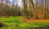 Randonnée Marche Longpont - en forêt de Retz_69_ballade (3) en toute saison - Photo 17