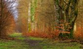 Trail Walking Longpont - en forêt de Retz_69_ballade (3) en toute saison - Photo 3
