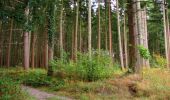 Percorso Marcia Longpont - en forêt de Retz_69_ballade (3) en toute saison - Photo 2