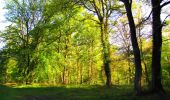 Tocht Stappen Longpont - en forêt de Retz_69_ballade (3) en toute saison - Photo 1