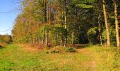 Randonnée Marche Longpont - en forêt de Retz_69_ballade (3) en toute saison - Photo 5