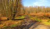 Randonnée Marche Longpont - en forêt de Retz_69_ballade (3) en toute saison - Photo 13