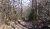 Trail Walking Bordes - Bois de Bordes - Photo 4
