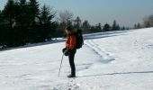 Trail Snowshoes Wildenstein - Wildenstein - Vieille Montagne - Bramont en raquettes - Photo 4