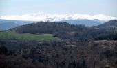 Tocht Stappen Montaigut-le-Blanc - Le tour de la Pinière - Photo 2