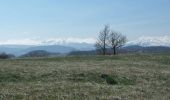 Tour Wandern Montaigut-le-Blanc - Le tour de la Pinière - Photo 1