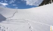 Tocht Sneeuwschoenen Saint-Christophe-sur-Guiers - Les crêtes de l'Aliénard 1560m, depuis la Ruchère - Photo 1