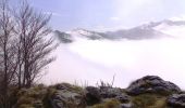 Tour Wandern Louvie-Juzon - Soum de las Picarras - Montagne du Rey par le versant Nord - Photo 3