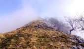 Trail Walking Louvie-Juzon - Soum de las Picarras - Montagne du Rey par le versant Nord - Photo 1